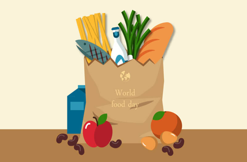 Z-Library入口网站/最新镜像及国内可用地址（2025.11.13）